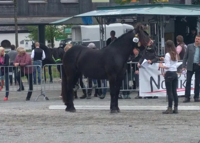 Maurachbauer Фермерский дом *