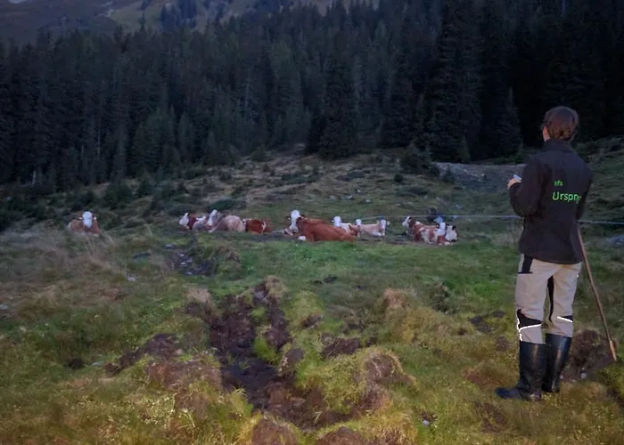 Maurachbauer Alojamento de Turismo Rural