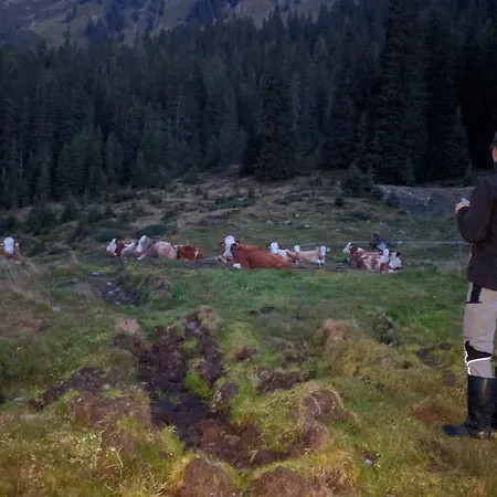 Maurachbauer Bauernhof