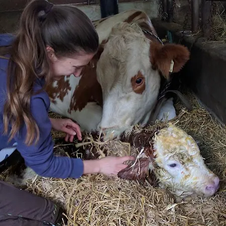 ファームステイ Maurachbauer *