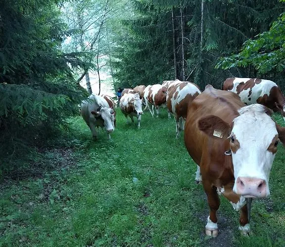 Maurachbauer Séjour à la ferme *