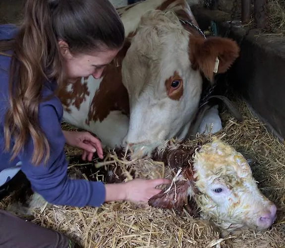 Séjour à la ferme Maurachbauer *